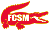 Значок  FCSM - 1